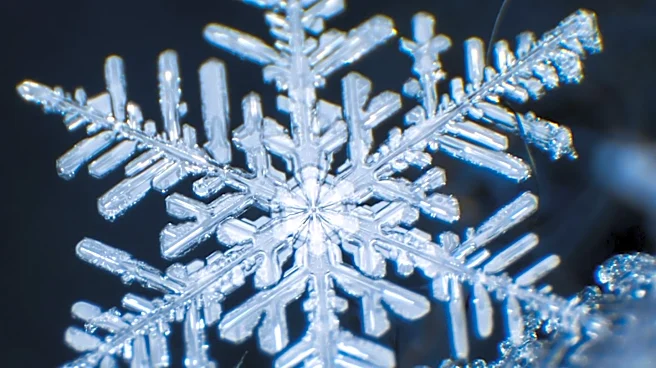 Hacker Pleads Guilty to Major Data Breach Affecting Snowflake Customers