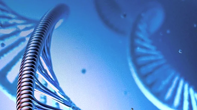 T2T Consortium Achieves Full Diploid Human Genome Reconstruction, Advancing Precision Medicine