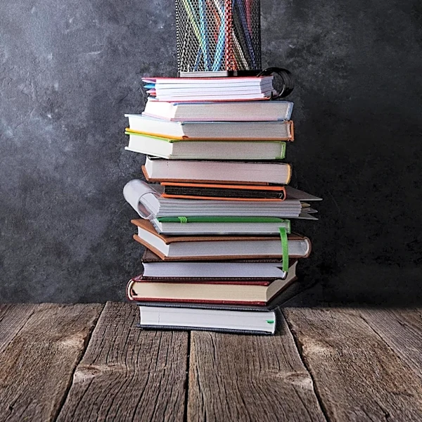 UK Private Schools Urged to Support Afghan Girls' Education Amid Taliban Restrictions