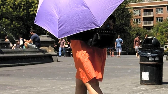 Baltimore Area Braces for Heatwave with High Humidity