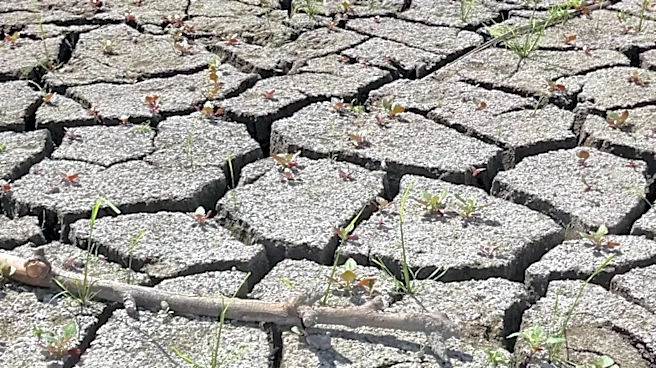 USDA Designates Fourteen Idaho Counties as Primary Natural Disaster Areas Due to Severe Drought