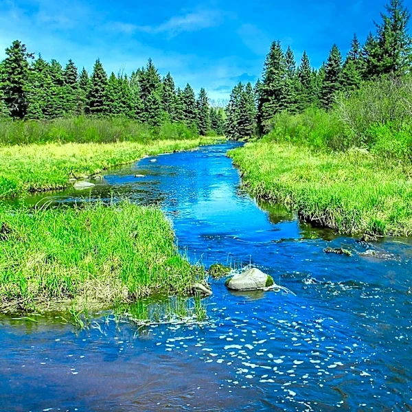 St. Mary-Milk River Study Nears Completion, Seeks Public Input on Water Management
