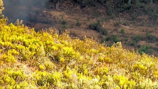 Montana Wildfires Expand Amid Weather Changes, Affecting Air Quality