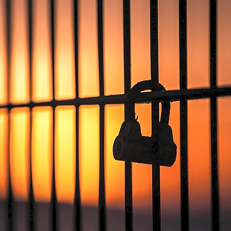 ICE Healthcare Payment System Collapse Raises Concerns Over Detainee Care
