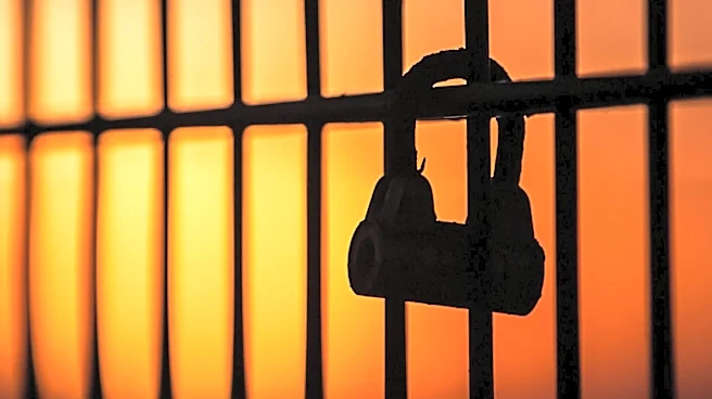 ICE Healthcare Payment System Collapse Raises Concerns Over Detainee Care