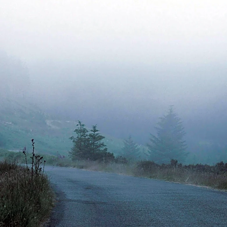 Dense Fog and Rain Forecast for Iowa as Weather Patterns Shift