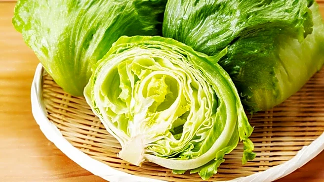 Cyclospora Outbreak Linked to Iceberg Lettuce Affects 15 States, CDC Reports