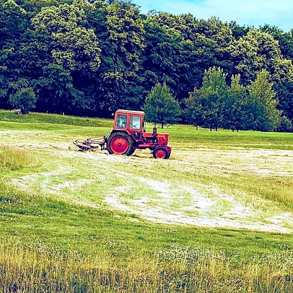 Durham Residents Debate Mowing Practices to Balance Agriculture and Wildlife Conservation