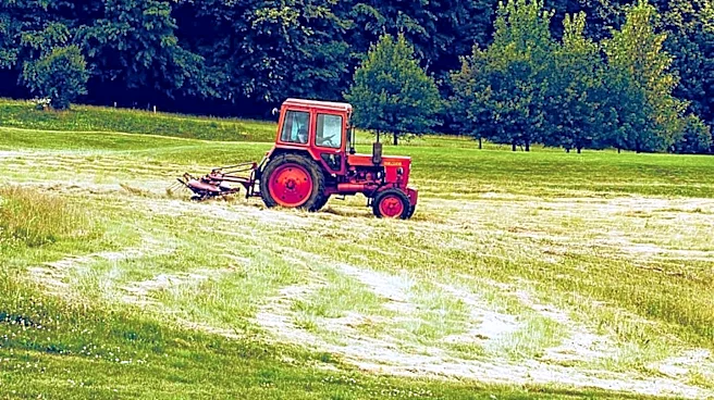 Durham Residents Debate Mowing Practices to Balance Agriculture and Wildlife Conservation