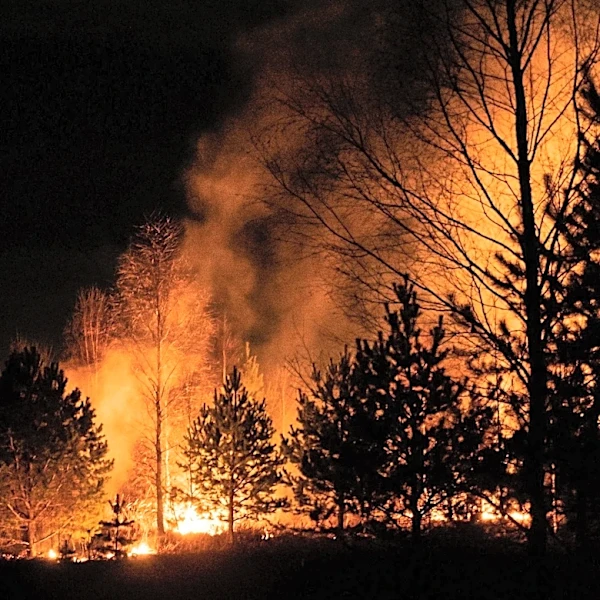 Utah Wildfires Set Record for Woodland Area Loss, University of Utah Researchers Report