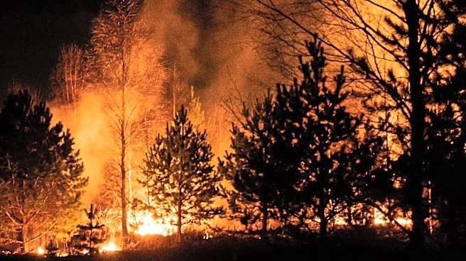 Utah Wildfires Set Record for Woodland Area Loss, University of Utah Researchers Report