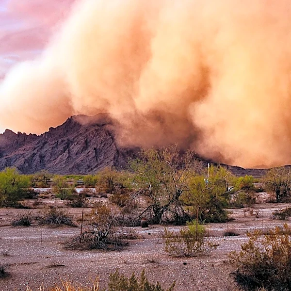 Phoenix Faces Unhealthy Air Quality Due to Persistent Dust Storms