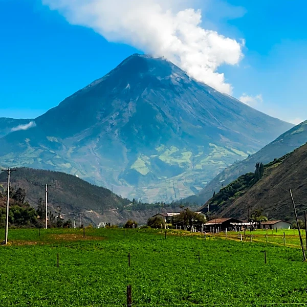 World Food Programme Expands Role in Guatemala to Strengthen Food Systems