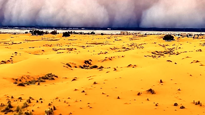 Massive Dust Storms Hit Phoenix, Raising Concerns Over Air Quality