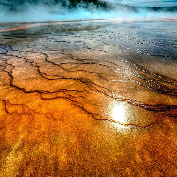 Flesh-Eating Bacteria Claims Five Lives in Louisiana Amid Rising Water Temperatures