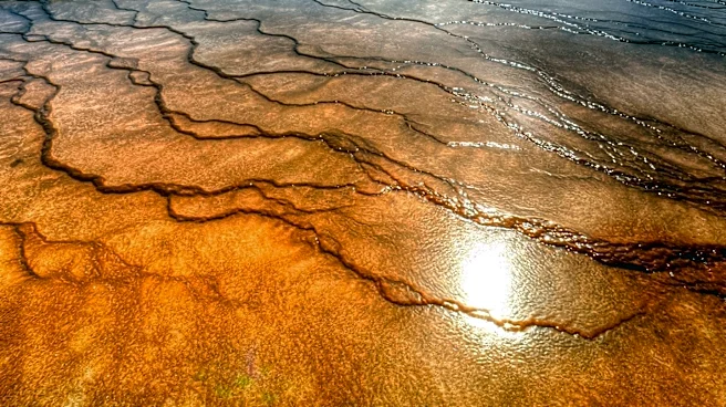 Flesh-Eating Bacteria Claims Five Lives in Louisiana Amid Rising Water Temperatures