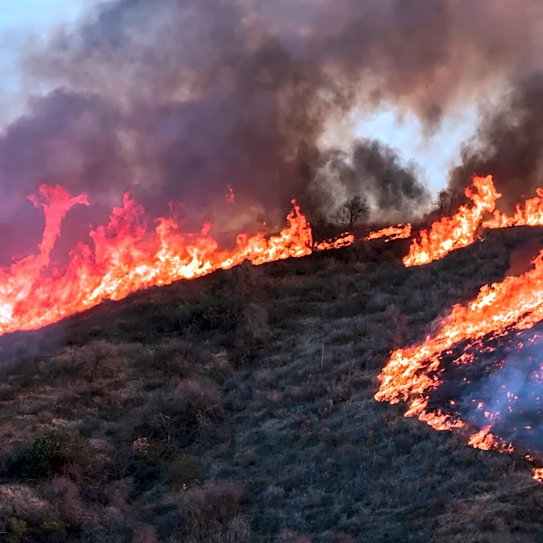 Cal Fire Sues CalPortland Over Wonder Fire Costs