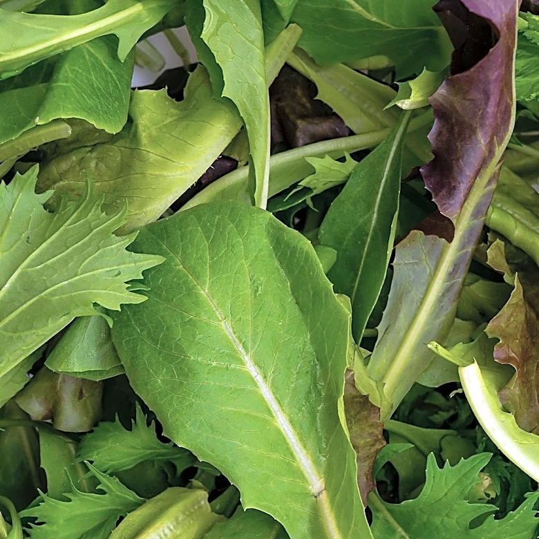 Ohio Health Officials Report Surge in Cyclosporiasis Cases Linked to Leafy Greens