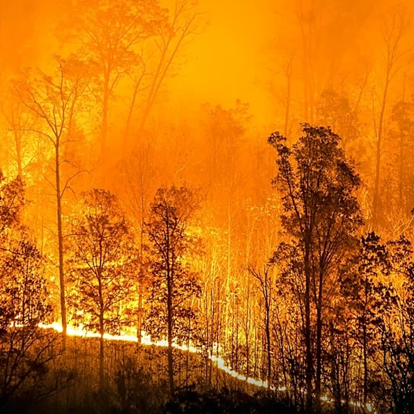 Cal Fire Sues CalPortland for $2.8 Million Over Wonder Fire Allegations