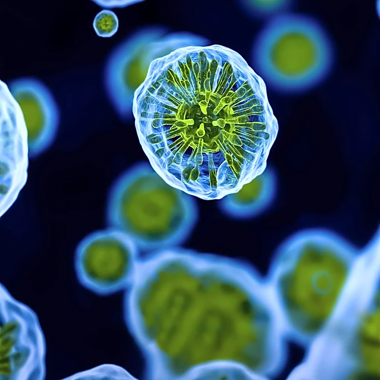 Cyclospora Outbreak Linked to Lettuce Expands to 15 States