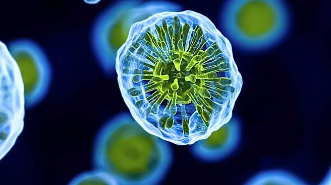 Cyclospora Outbreak Linked to Lettuce Expands to 15 States