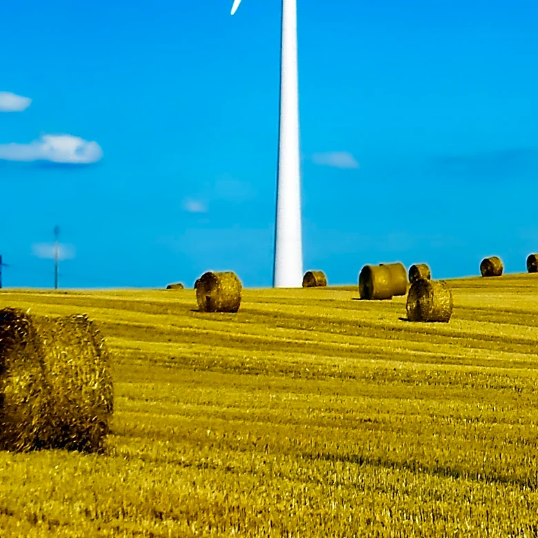 HR-9827 Bill Expands Renewable Biomass Eligibility, Aims to Boost Biofuel Industry