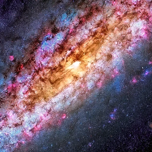 Milky Way Simulation Unveils Growth of Central Galactic Structures