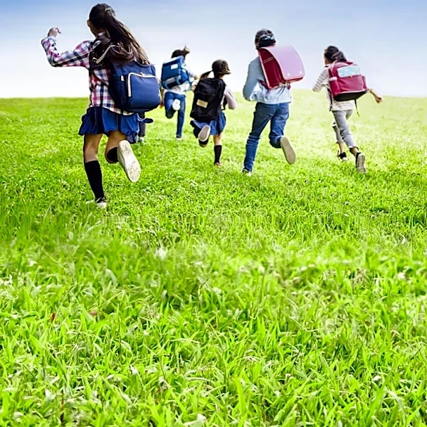 UK Primary Schools to Identify Children at Risk of Future Unemployment