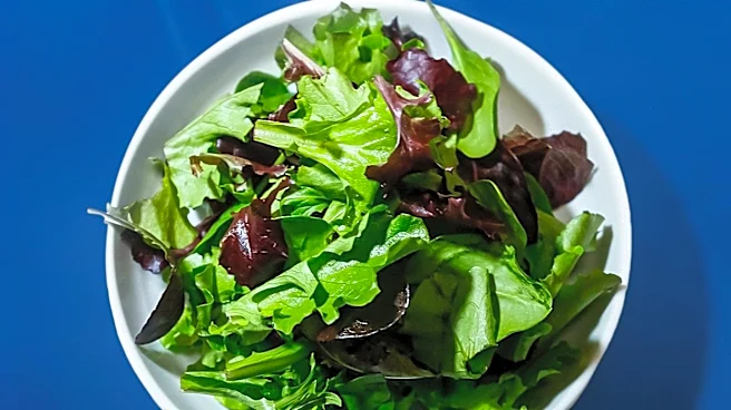 Michigan Health Officials Declare Lettuce and Salad Greens Safe as Cyclosporiasis Cases Decline