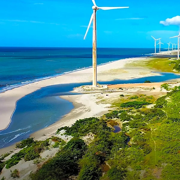 Trump Administration Pays RWE $1.22bn to Cancel Offshore Wind Leases