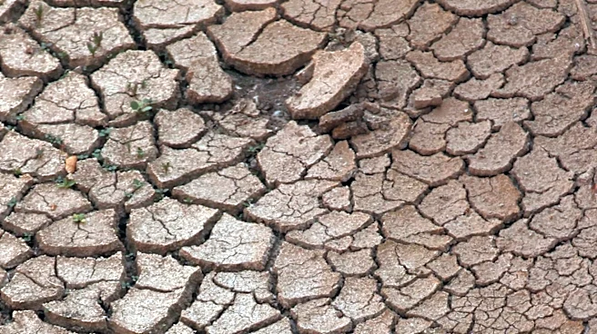 USDA Designates Jackson County, Mississippi, as Natural Disaster Area for Drought Relief