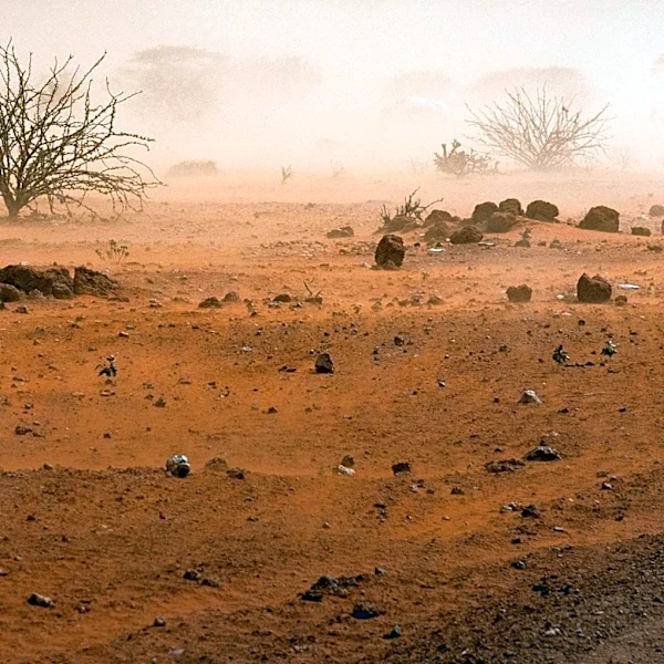 Intense Dust Storms Sweep Through Phoenix, Reducing Visibility