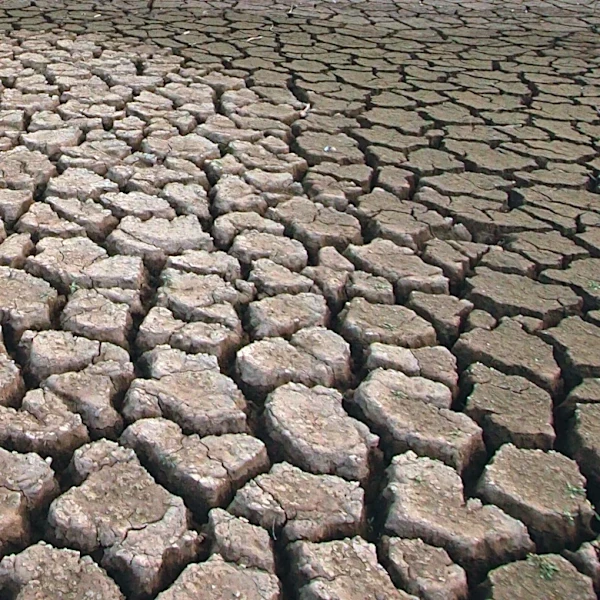 Exceptional Drought Conditions Intensify Across Colorado, Affecting Denver
