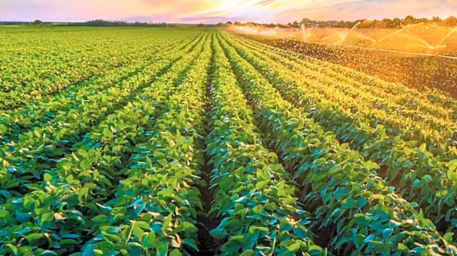 Senate Farm Bill Stalls, Ag Committee to Revisit Vote in September