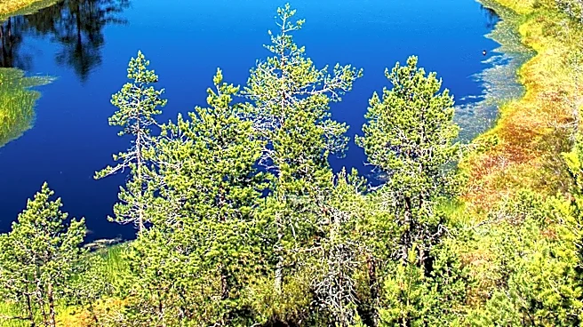 Environmental Factors Reshape Soil Microbiome in Northern Peatlands