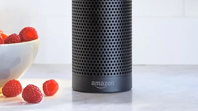 Amazon Echo Dot Customization Project Explores Privacy-Focused Voice Assistant