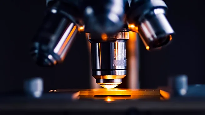 University of Utah Researchers Use AI to Develop New Osteoarthritis Drug Candidates