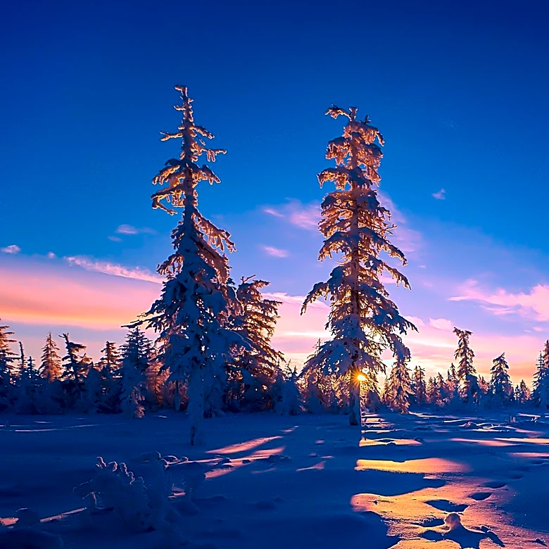 Farmers' Almanac Predicts Unpredictable Winter for 2026-2027