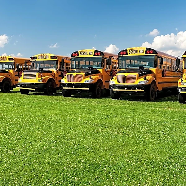 Boston School Bus Rollover Leaves Four Adults Injured, Investigation Ongoing