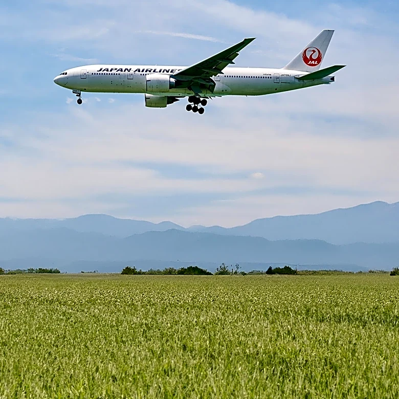 Super Typhoon Dolphin Forces Evacuations and Flight Cancellations in Japan