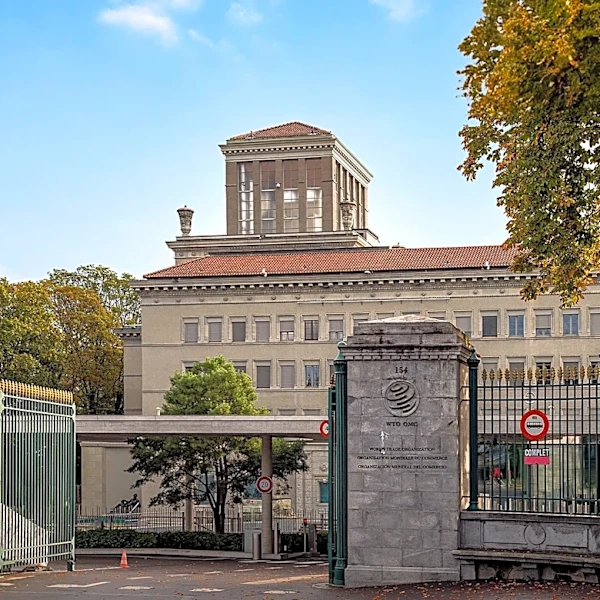 WTO Reforms Stalled Due to Disagreements on Negotiation Scope