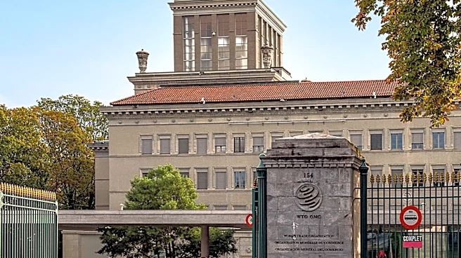 WTO Reforms Stalled Due to Disagreements on Negotiation Scope