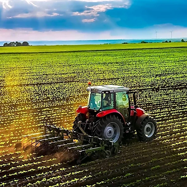 Global Dietary Shift Could Drastically Reduce Farm Emissions by 2050