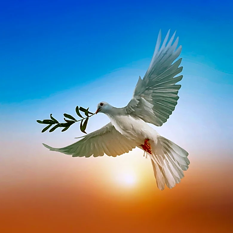 Nagasaki Day 2026 Highlights Global Peace and Disarmament Efforts