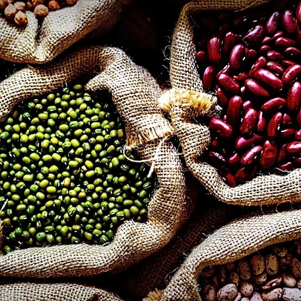FAO Reports Increase in Global Food Prices Amid Geopolitical Tensions