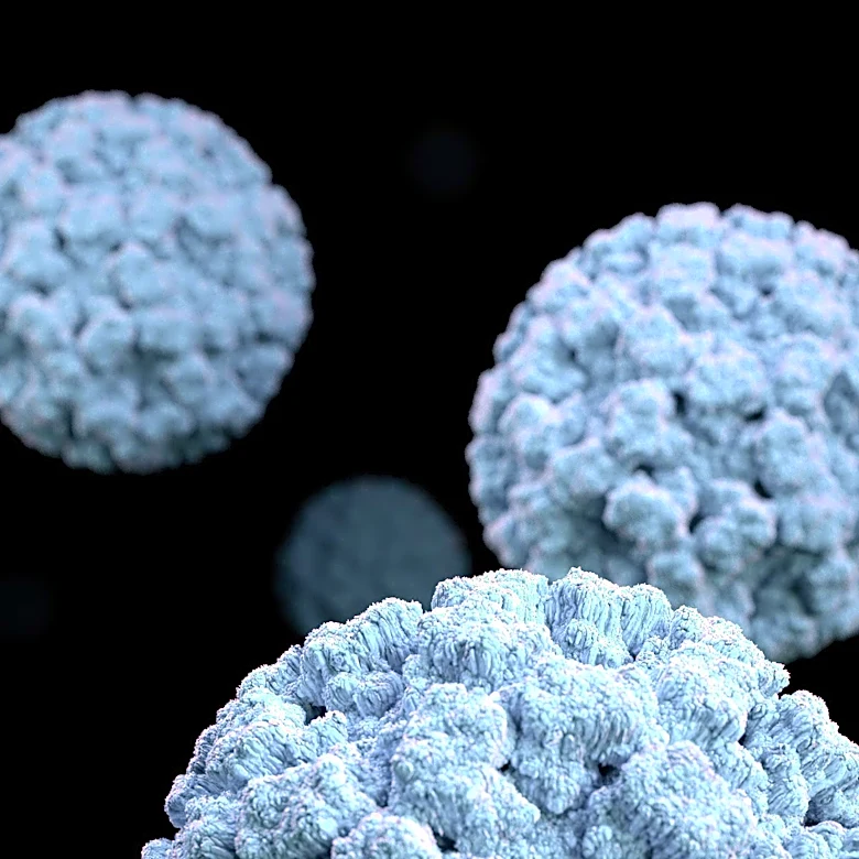 FDA Approves Moderna's mRNA Flu Vaccine for Older Adults, Offering New Protection