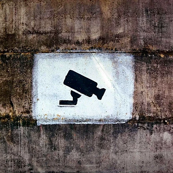 World Food Programme Faces Criticism Over Palantir Contract Amid Privacy Concerns