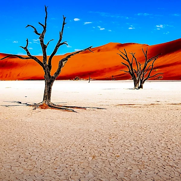 Namibia's New 6km Gold Discovery Promises Economic Growth