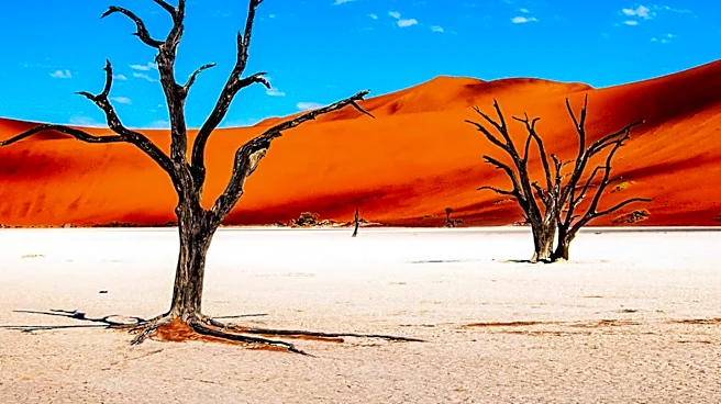 Namibia's New 6km Gold Discovery Promises Economic Growth