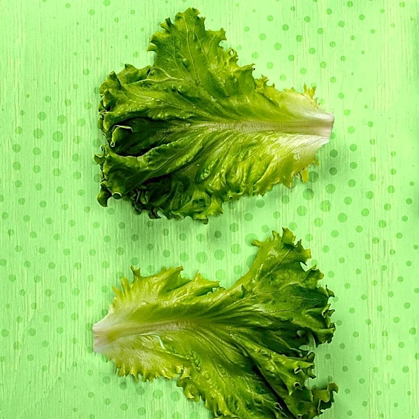 Michigan Eases Lettuce Advisory as Cyclosporiasis Cases Decline